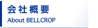 会社概要